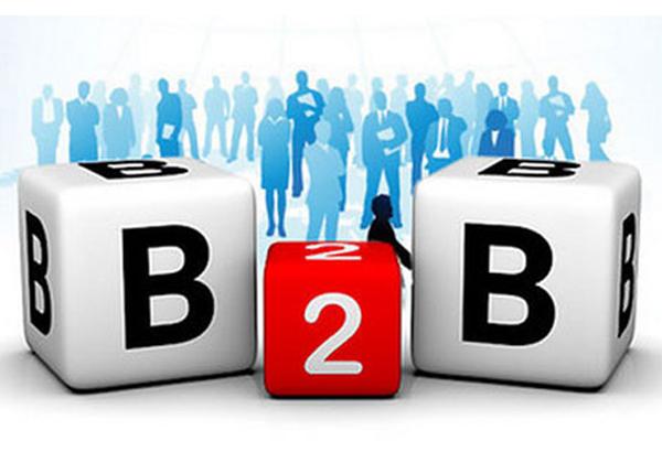 搭建b2b电商网站系统的方式有两种,一种是利用自己技术和团队,建设一