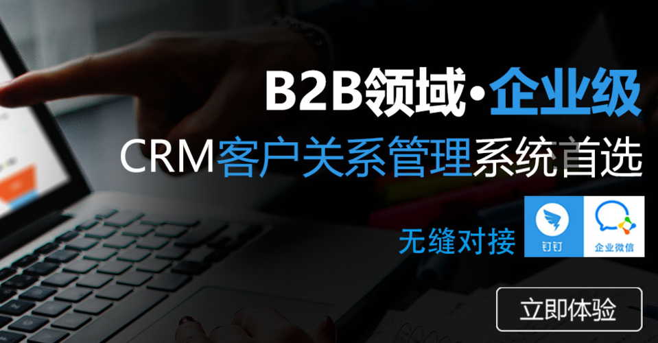 b2b企业级crm系统是什么意思,有